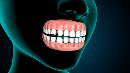 Teeth with braces, 3d render, x-ray image