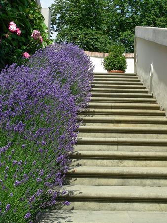 stairs in terraces of Prague Palace, Czech Republic
