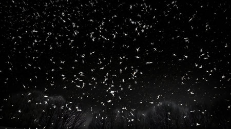 Falling snow isolated on black background, abstract, backgroundsの素材