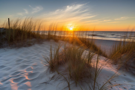 Pensacola beach sunrise, scenery background, nature, sea & oceanの素材