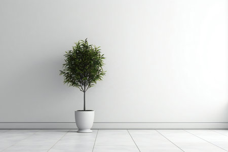 Plant in a white pot on the floor.の素材