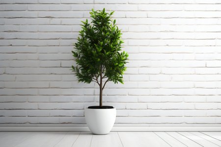 Plant in pot on wooden floor and white brick wall background.の素材