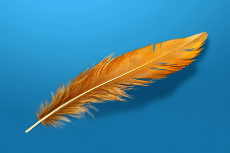 feather on a blue background.の素材