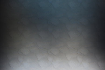 Abstract background with bokeh defocused lights. Abstract background.の写真素材