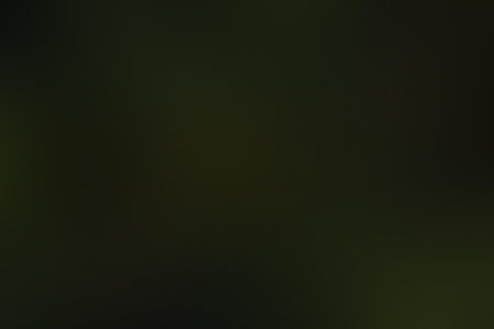 green abstract background blur gradient design graphic soft light bokeh.の素材