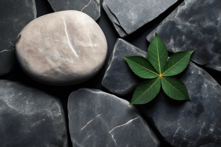 Stone and green leaf on grey stone background, top view. Zen conceptの素材