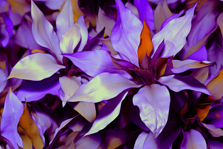 Purple and orange flowers. Abstract background and texture for design.の素材