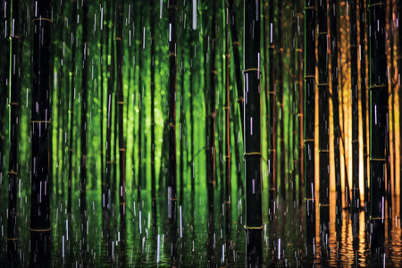 Bamboo grove at night. Bamboo grove background.の素材