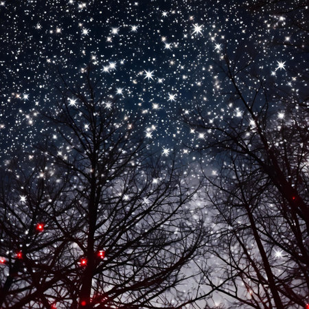 Winter night sky with stars and snowflakes. Christmas background.の素材