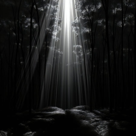 Dark forest with sun rays shining through the trees.の素材