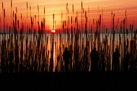 Silhouette of a man standing on the pier at sunset.の素材