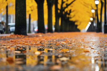autumn leaves on the pavement in the city, defocused backgroundの素材