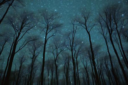 Forest at night with starry sky and stars.の素材