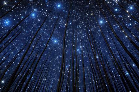 Bamboo forest in the night with starry sky.の素材