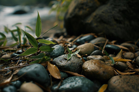 Bamboo leaves and stones on the bank of a mountain river.の素材