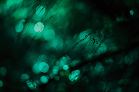 green bokeh abstract light background with tree branches and leaves in the forestの素材