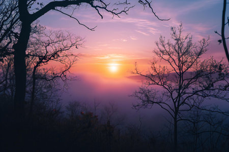 Beautiful sunrise in the misty morning, Phu Kradueng National Park, Loei, Thailandの素材