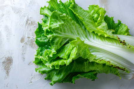 Fresh green lettuce on a white background. Top view. Copy space.の素材
