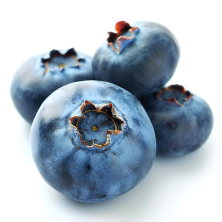 Fresh blueberries isolated on white background.の素材