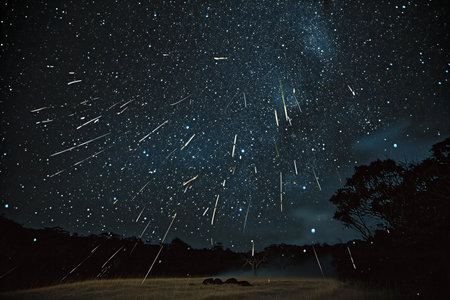 Night sky with stars and milky way in the forest. Long exposure photograph.の素材