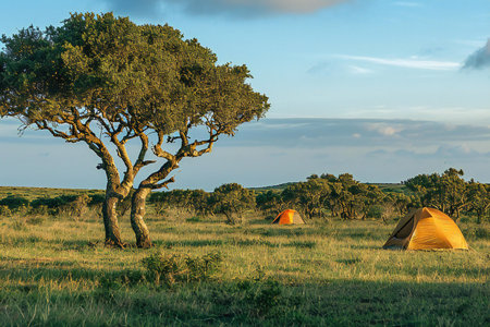 Camping on the grasslands of the island of Sardinia.の素材