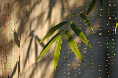 Bamboo leaves and bokeh in the morning light. Natural background.の素材