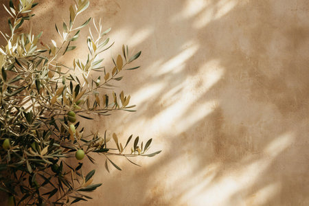 Olive branch with leaves on a beige background with copy spaceの素材