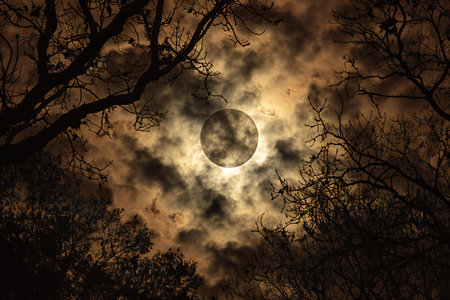 Full moon in the night sky with clouds and silhouettes of treesの素材