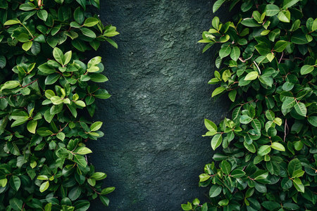 Green leaves background with copy space for text or image. Nature and environment concept.の素材