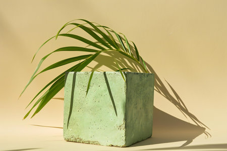Green palm leaf in concrete pot on beige background with shadow.の素材