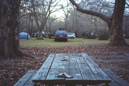 Wooden table and car on the background of trees in the forestの素材