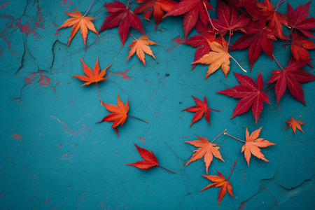 Autumn leaves on blue background with copy space for your text.の素材