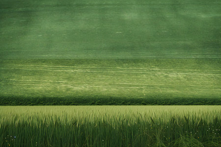 Green grass field and blue sky with clouds,の素材