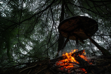 Camping fire in the forest. Campfire in the forest.の素材