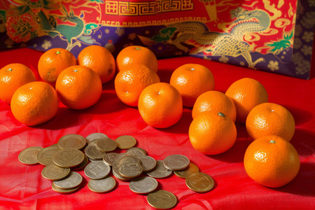 Ripe tangerines and Chinese coins on a red background.の素材
