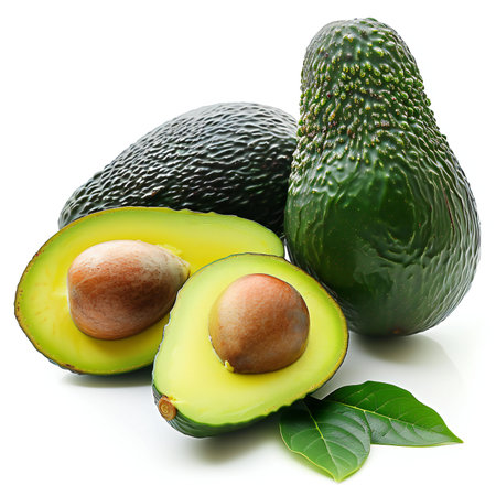 Avocado isolated on the white background.の素材