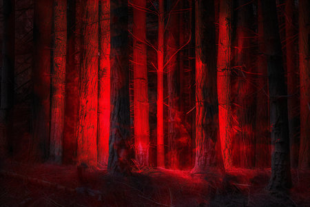 Mystical dark forest with red light rays. Halloween background.の素材