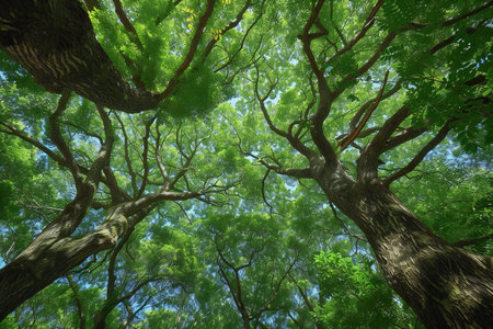 Green tree in the forest, close-up of nature background.の素材