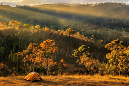 Camping on the mountain at sunset, Chiang Mai, Thailandの素材