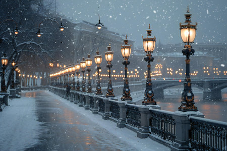 Snowfall in Paris, France. Winter cityscape with bridge and lanternsの素材