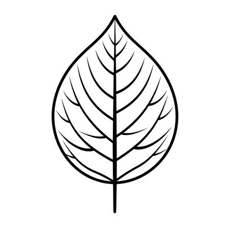 Black line icon of a leaf.のイラスト素材