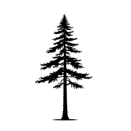 Simple line art pine tree icon, isolated on white background.のイラスト素材