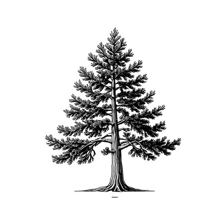 Cedar tree icon in simple line art styleのイラスト素材