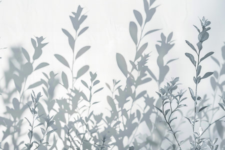 Shadow of tree branches and leaves on white background. Nature background.の写真素材