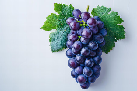 Ripe black grapes with green leaves on white background. Top view.の写真素材