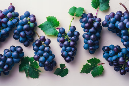Bunch of blue grapes with green leaves on white background. Top view.の写真素材