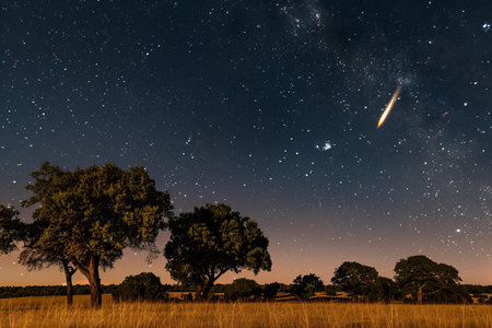 Milky Way over the meadow in the countryside of Alentejo, Portugalの写真素材
