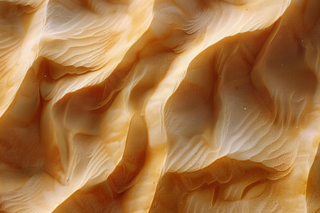 Detail of the surface of a mushroom. Close-up.