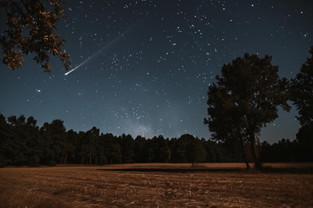 Night sky with stars and milky way over the field. Long exposure