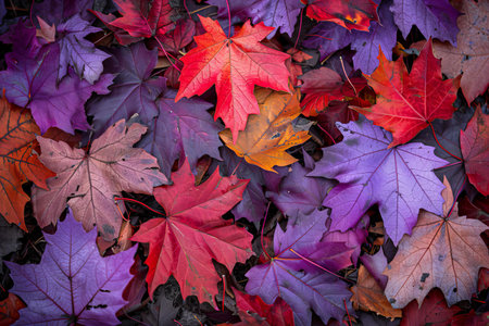 Autumn maple leaves background. Colorful autumn leaves background. Autumn leaves background